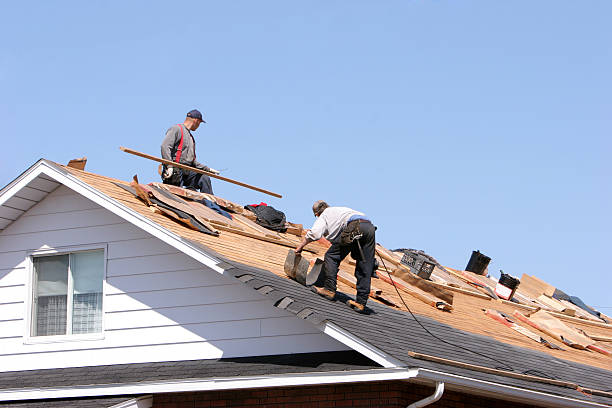 Best Solar Panel Roofing Installation  in Penrose, CO